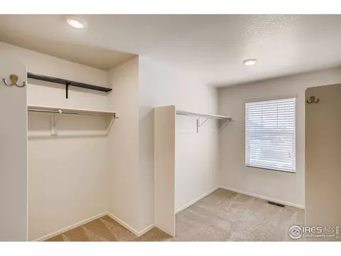 412 Harrow St, Severance, CO 80550 photo 21