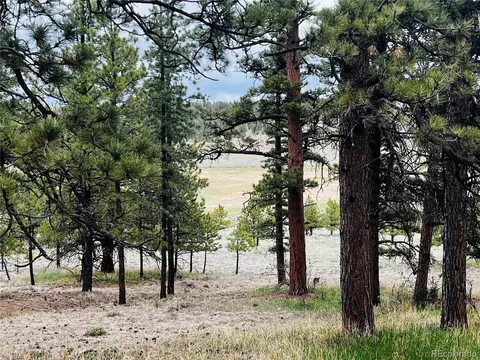 429 Spread Eagle Dr, Westcliffe, CO 81252 photo 30