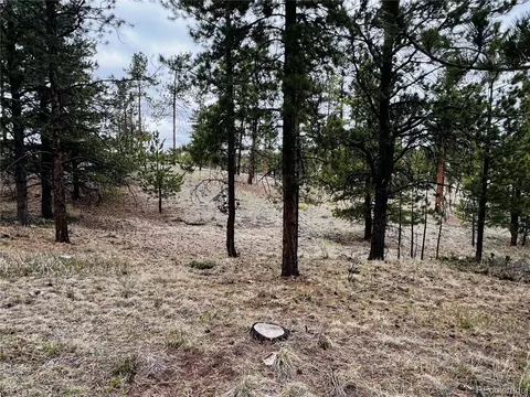 429 Spread Eagle Dr, Westcliffe, CO 81252 photo 31