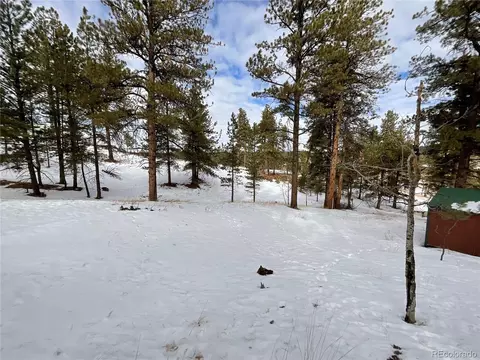 429 Spread Eagle Dr, Westcliffe, CO 81252 photo 42