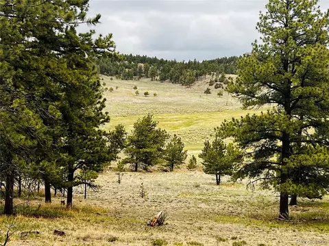 429 Spread Eagle Dr, Westcliffe, CO 81252 photo 26