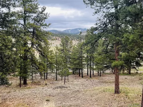 429 Spread Eagle Dr, Westcliffe, CO 81252 photo 35