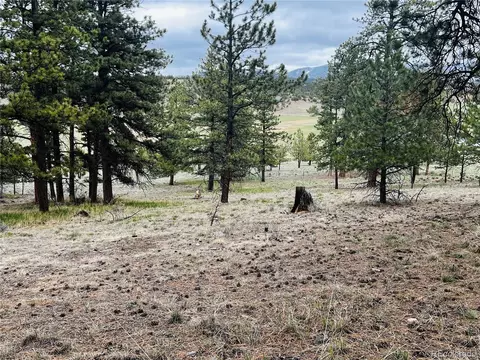 429 Spread Eagle Dr, Westcliffe, CO 81252 photo 28