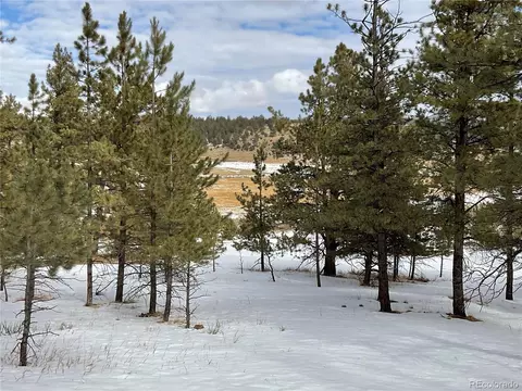 429 Spread Eagle Dr, Westcliffe, CO 81252 photo 43