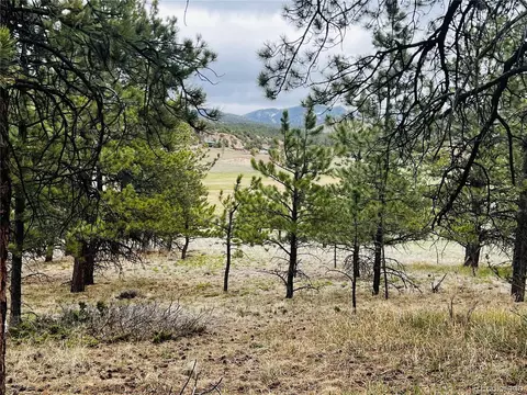 429 Spread Eagle Dr, Westcliffe, CO 81252 photo 29