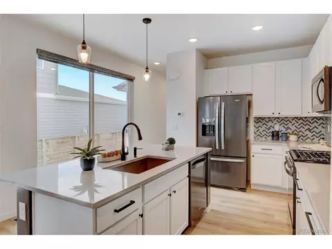 5849 Denys Dr, Timnath, CO 80547 photo 11