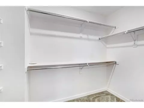 5849 Denys Dr, Timnath, CO 80547 photo 24