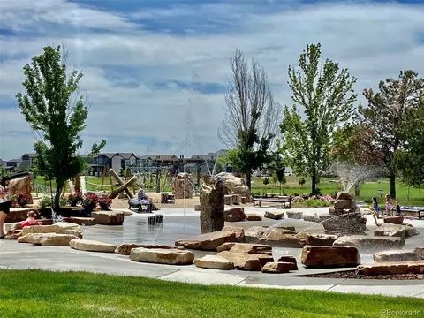 5849 Denys Dr, Timnath, CO 80547 photo 34