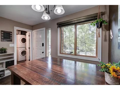 6741 Ryan Gulch Rd #6741, Silverthorne, CO 80498 photo 8