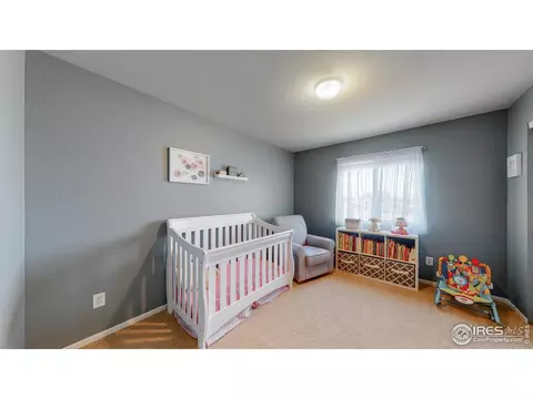 6458 Mayfair Ave, Timnath, CO 80547 photo 21