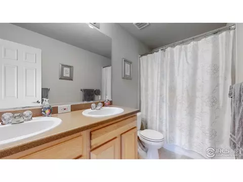 6458 Mayfair Ave, Timnath, CO 80547 photo 23
