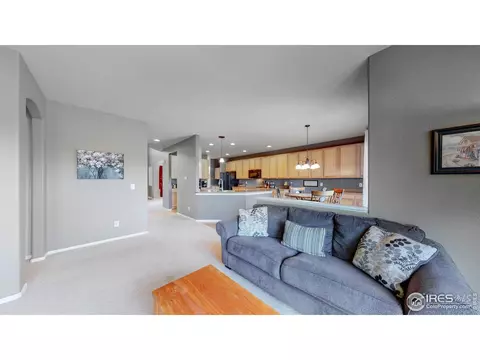 6458 Mayfair Ave, Timnath, CO 80547 photo 13