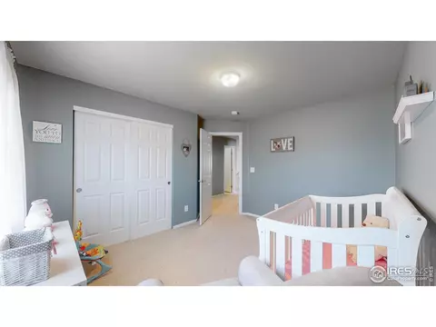 6458 Mayfair Ave, Timnath, CO 80547 photo 22