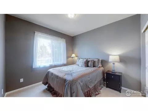 6458 Mayfair Ave, Timnath, CO 80547 photo 14