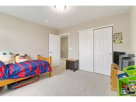 393 4th St, Windsor, CO 80550 photo 27