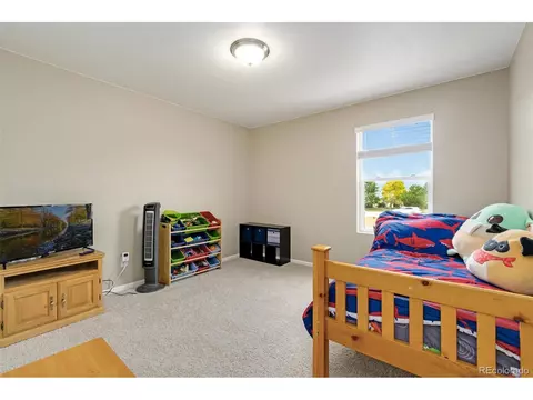 393 4th St, Windsor, CO 80550 photo 26
