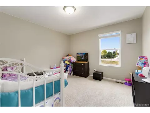 393 4th St, Windsor, CO 80550 photo 29