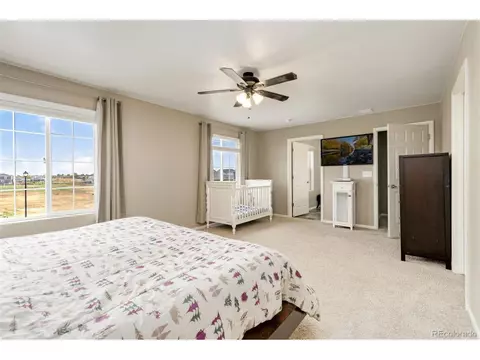393 4th St, Windsor, CO 80550 photo 20