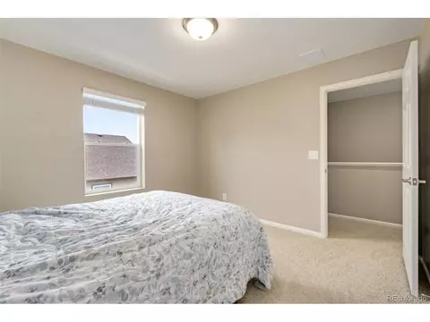 393 4th St, Windsor, CO 80550 photo 31