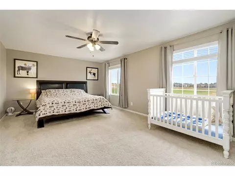 393 4th St, Windsor, CO 80550 photo 19