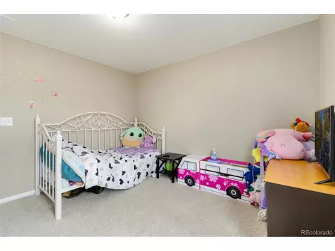 393 4th St, Windsor, CO 80550 photo 28