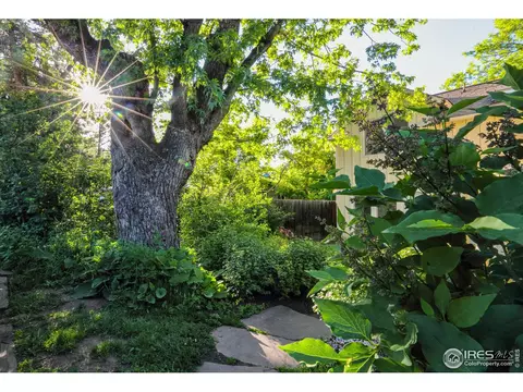 621 Pleasant St, Boulder, CO 80302 photo 8