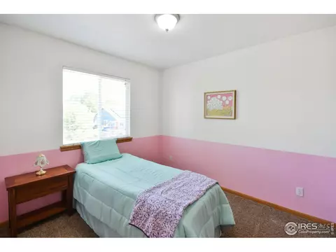 303 Central Ave, Severance, CO 80546 photo 23