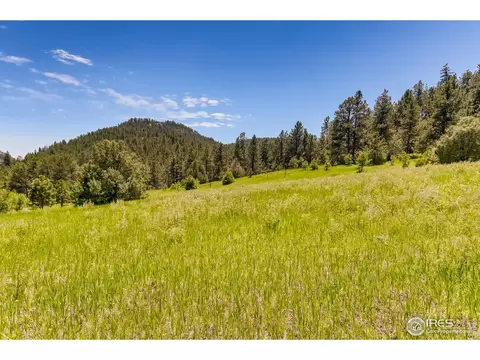 13780 N Saint Vrain Dr, Lyons, CO 80540 photo 6