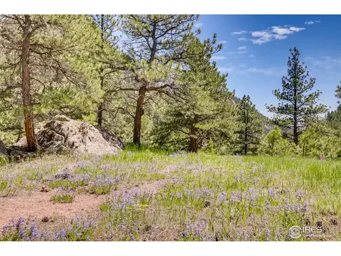 13780 N Saint Vrain Dr, Lyons, CO 80540 photo 7