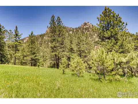 13780 N Saint Vrain Dr, Lyons, CO 80540 photo 5