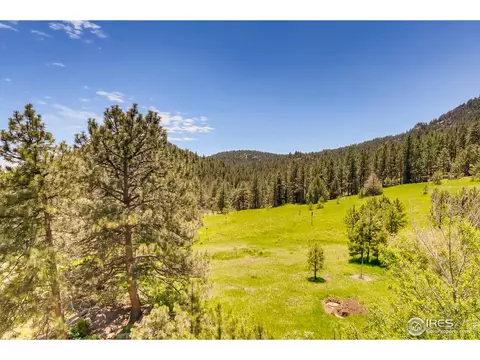 13780 N Saint Vrain Dr, Lyons, CO 80540 photo 27