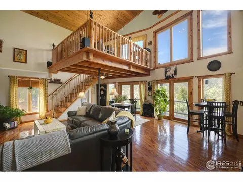 60 Appleby Dr, Lyons, CO 80540 photo 4