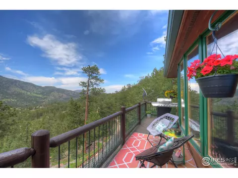 60 Appleby Dr, Lyons, CO 80540 photo 29