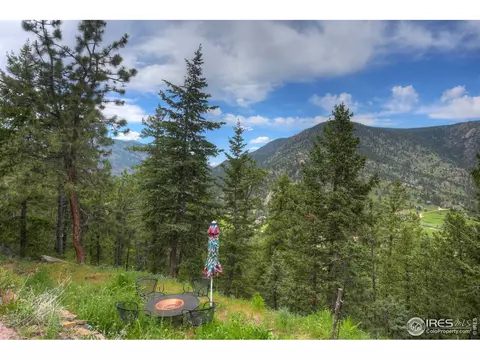 60 Appleby Dr, Lyons, CO 80540 photo 34