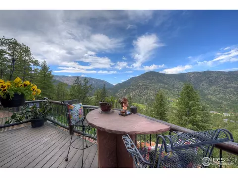 60 Appleby Dr, Lyons, CO 80540 photo 23
