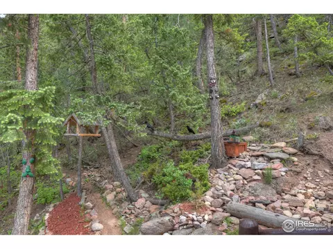 60 Appleby Dr, Lyons, CO 80540 photo 27