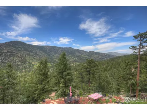 60 Appleby Dr, Lyons, CO 80540 photo 28