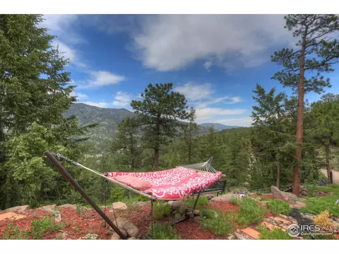 60 Appleby Dr, Lyons, CO 80540 photo 30