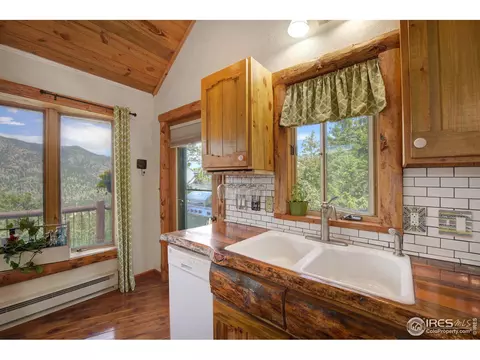 60 Appleby Dr, Lyons, CO 80540 photo 10