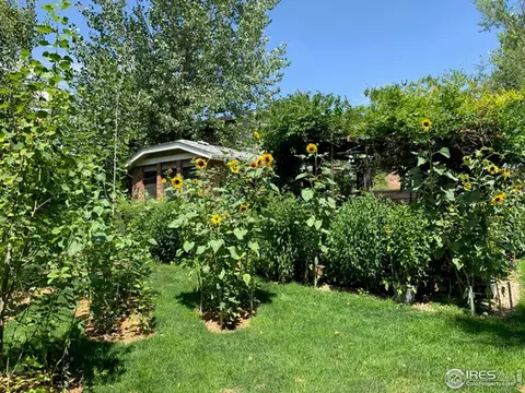 4586 Apple Way, Boulder, CO 80301 photo 31