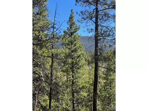 511 Lakeview Rd, Bailey, CO 80421