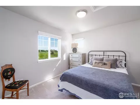 1875 Los Cabos Dr, Windsor, CO 80550 photo 15