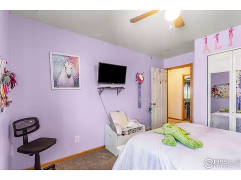 3812 Tumbleweed Dr, Evans, CO 80620 photo 15