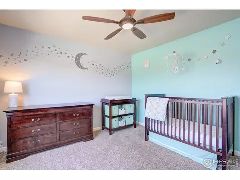 414 Audubon Blvd, Severance, CO 80550 photo 20