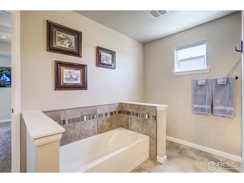 414 Audubon Blvd, Severance, CO 80550 photo 22