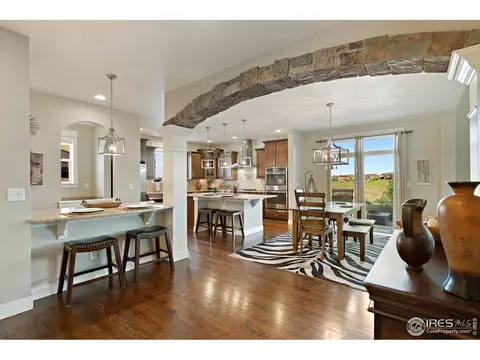 7017 Aladar Dr, Windsor, CO 80550 photo 10