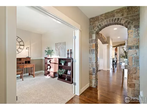 7017 Aladar Dr, Windsor, CO 80550 photo 5