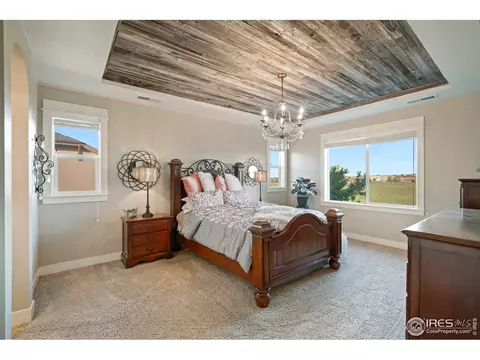 7017 Aladar Dr, Windsor, CO 80550 photo 23