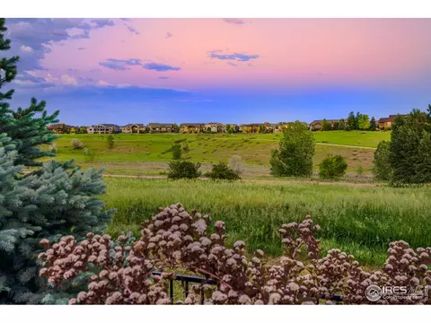 7017 Aladar Dr, Windsor, CO 80550 photo 34