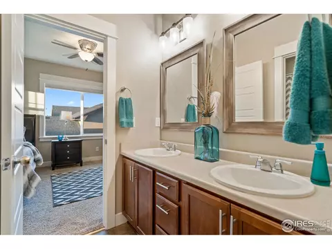 7017 Aladar Dr, Windsor, CO 80550 photo 29